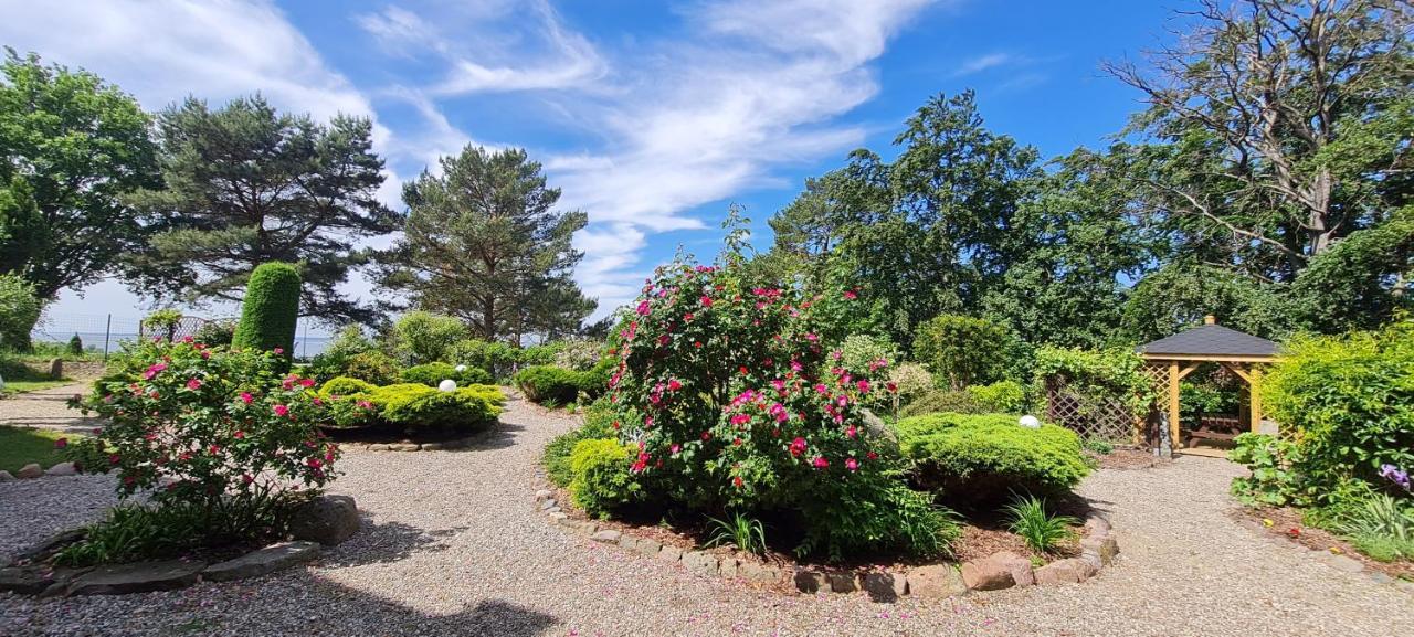 Dom Na Bukowym Wzgorzu Bed & Breakfast Wicko  Екстериор снимка