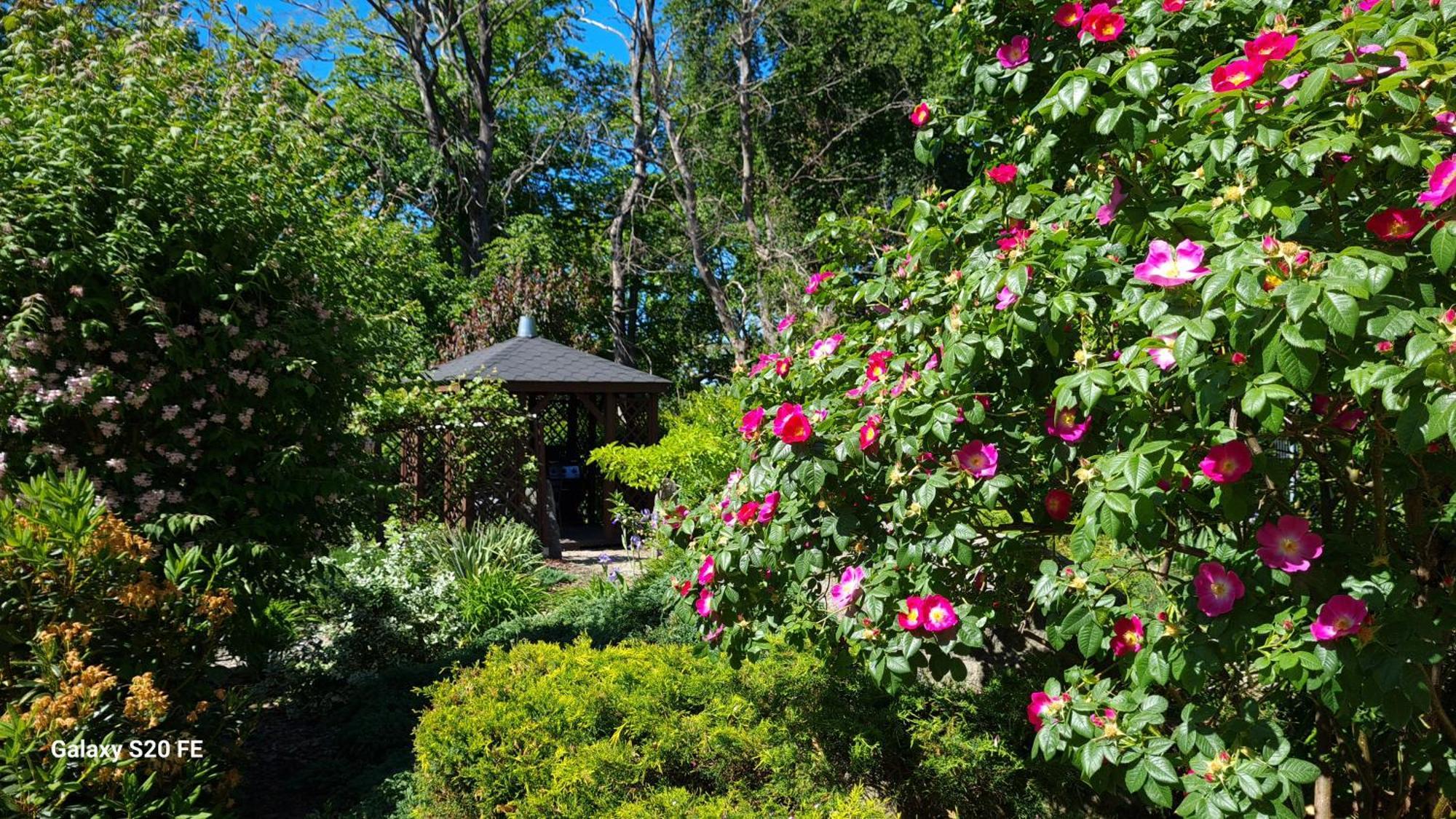 Dom Na Bukowym Wzgorzu Bed & Breakfast Wicko  Екстериор снимка
